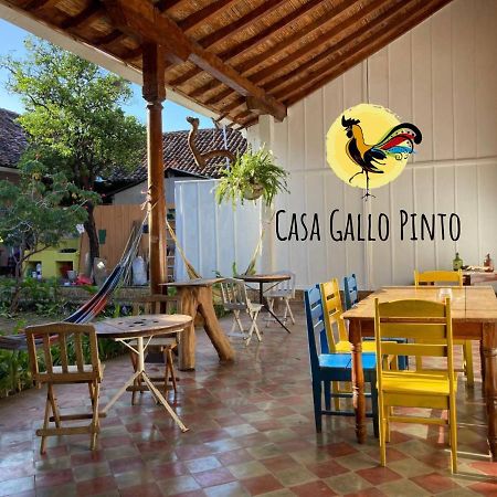 Casa Gallo Pinto Granada Exteriör bild