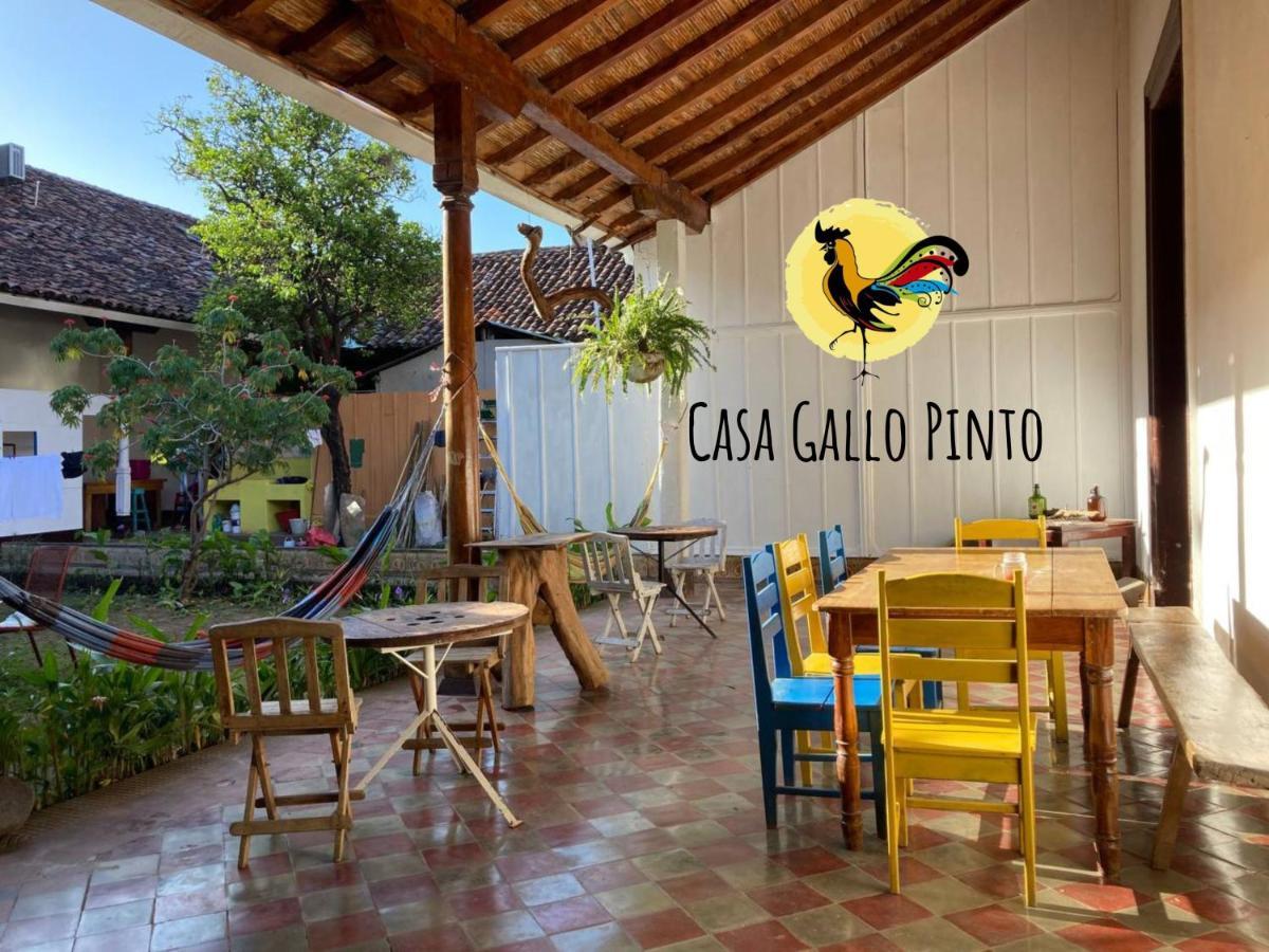 Casa Gallo Pinto Granada Exteriör bild