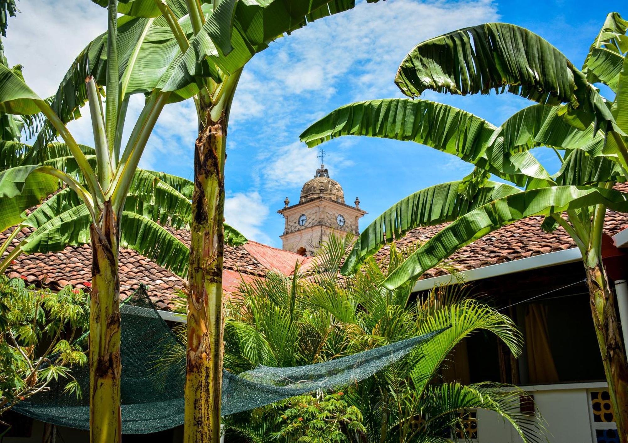 Casa Gallo Pinto Granada Exteriör bild